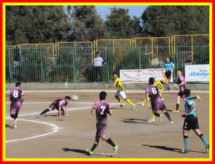 190310 Cephal_Torrenov 074_tn.jpg